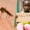 MOSQUITO and its KILLER transmitted DISEASES…